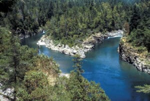 la microfiction comme nouveau genre littéraire