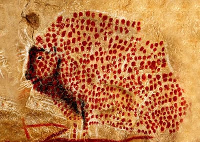 Bison dessiné dans la grotte de Marsoulas de l'art pariétal